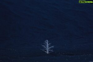 Vincent Munier Instagram - Kamtchatka