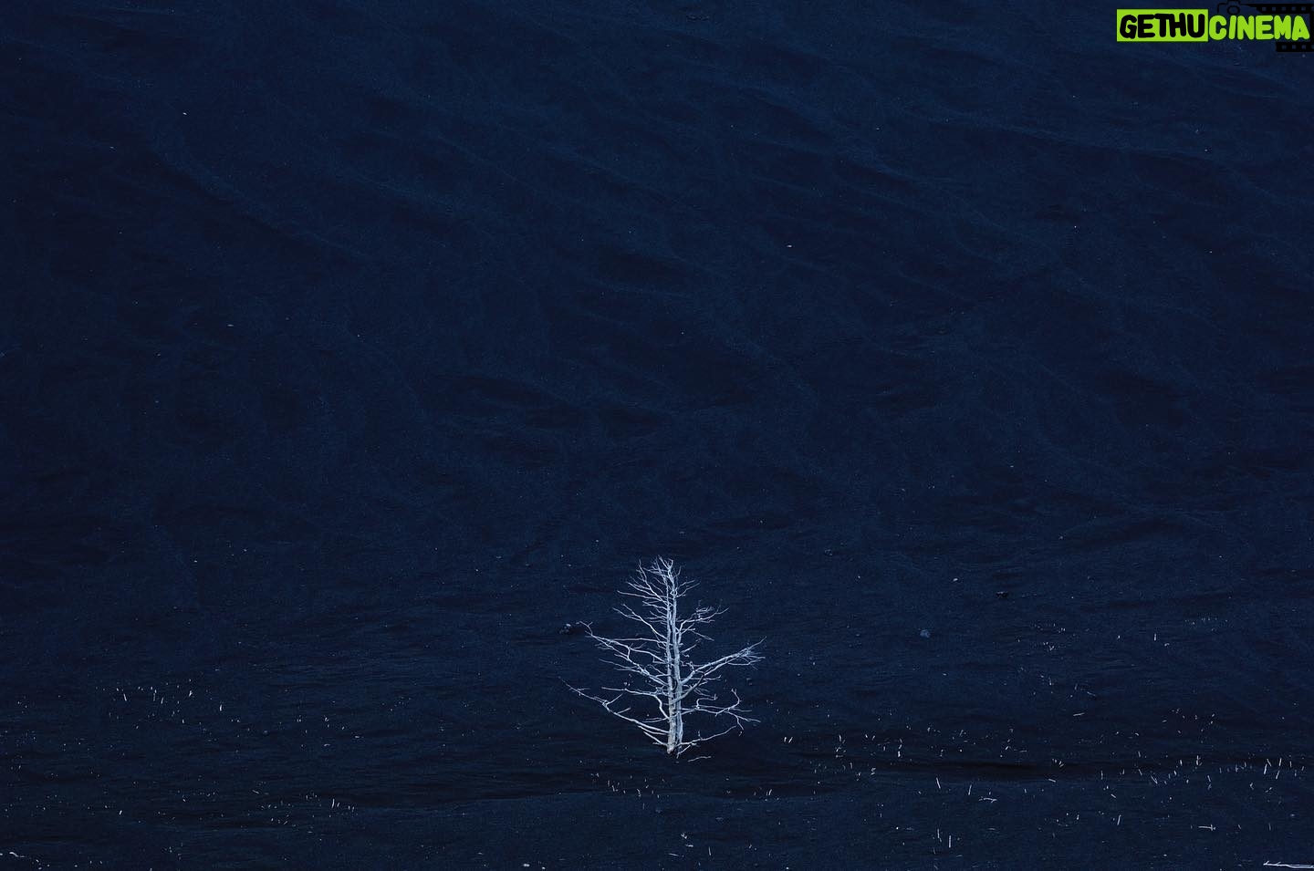 Vincent Munier - 4.6K Likes - Kamtchatka