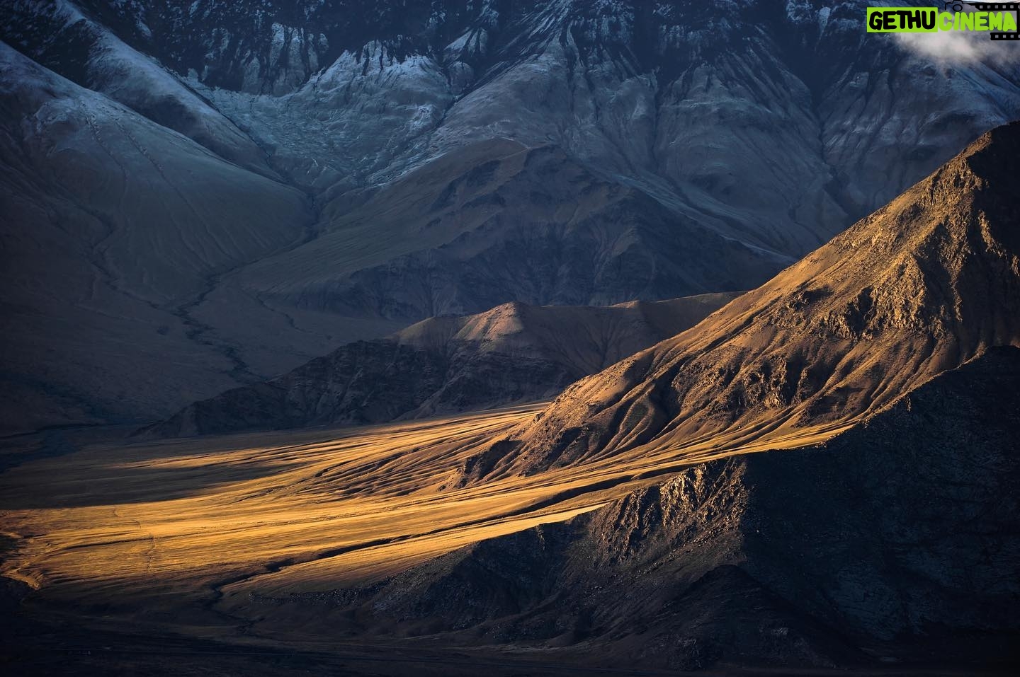 Vincent Munier - 7.7K Likes - Tibet. Photo extraite du livre « Tibet, minéral animal », photographies de Vincent Munier et poèmes de Sylvain Tesson, aux éditions Kobalann.
Commande sur vincentmunier.com/tibet
