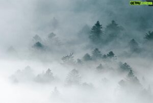 Vincent Munier Instagram - Vosges