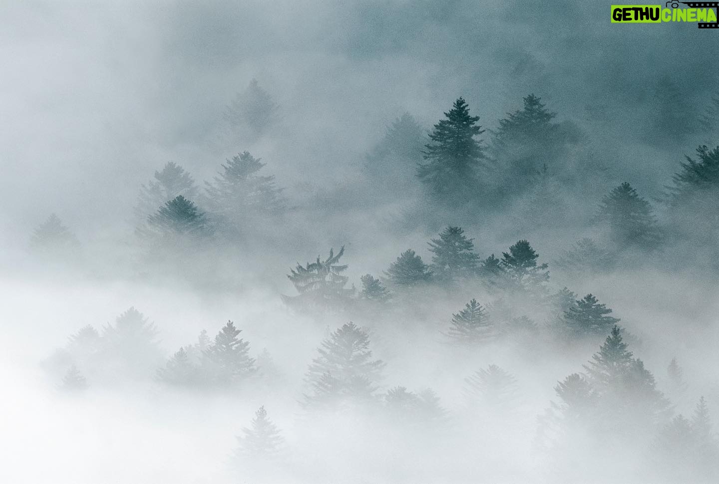 Vincent Munier - 6.7K Likes - Vosges