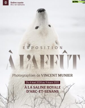 Vincent Munier Instagram - Aujourd’hui s’ouvre la nouvelle exposition "À l'affût" de Vincent à la @salineroyale d'Arc-et-Senans (Doubs), jusqu’au 9 mars 2025.

70 photographies grand format, des Vosges aux latitudes blanches du Grand Nord, issues de sa monographie parue à Noël dernier.
> Inauguration ce vendredi 3 mai à 18h (accès libre)
> Ouverture demain samedi 4 mai à 9h (inclus dans le billet d'entrée)
Plus d’infos : https://www.salineroyale.com/evenement/exposition-a-laffut-vincent-munier/ 
-
En même temps court l’exposition « En forêt » au @musee_des_confluences (Lyon) jusqu’à fin avril 2025.
Petit conseil : viser les heures creuses de fréquentation pour profiter au mieux de la visite !