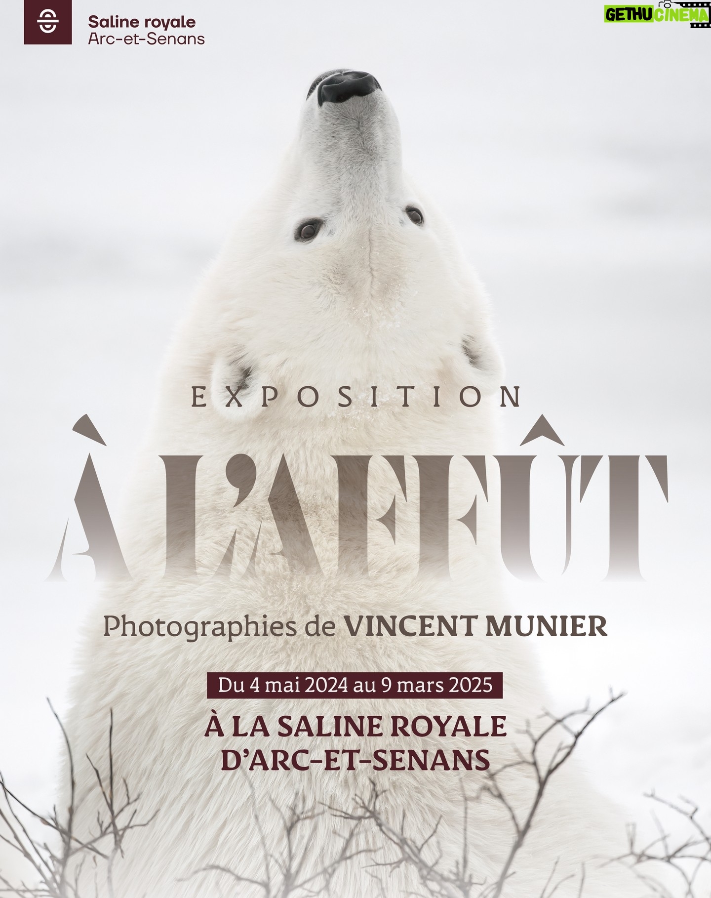 Vincent Munier - 5.4K Likes - Aujourdāhui sāouvre la nouvelle exposition "Ć l'affĆ»t" de Vincent Ć la @salineroyale d'Arc-et-Senans (Doubs), jusquāau 9 mars 2025.
70 photographies grand format, des Vosges aux latitudes blanches du Grand Nord, issues de sa monographie parue à Noël dernier.
> Inauguration ce vendredi 3 mai Ć 18h (accĆØs libre)
> Ouverture demain samedi 4 mai à 9h (inclus dans le billet d'entrée)
Plus dāinfos : https://www.salineroyale.com/evenement/exposition-a-laffut-vincent-munier/
-
En mĆŖme temps court lāexposition « En forĆŖtĀ Ā» au @musee_des_confluences (Lyon) jusquāĆ fin avril 2025.
Petit conseil : viser les heures creuses de frƩquentation pour profiter au mieux de la visite !