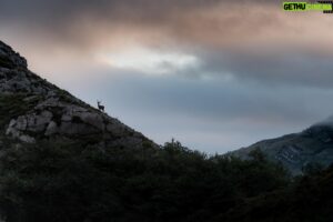 Vincent Munier Instagram - Image extraite du film « Ours, simplement sauvage » réalisé par Laurent Joffrion et Vincent Munier. Ce film militant est un cri d’alerte et de révolte face au manque de respect de l’espèce humaine pour les autres êtres vivants. A travers les différents personnages qu'il présente, il se veut une illustration poétique de la possibilité de vivre en harmonie avec le sauvage, un plaidoyer pour mettre un terme à la guerre que l'on mène au vivant, et réduire le fossé que nous avons creusé entre la nature et nous.