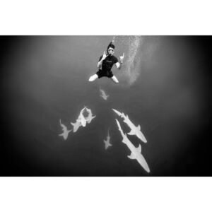 Vincent Stein Instagram - Meine neuen Kumpels ❤️🦈