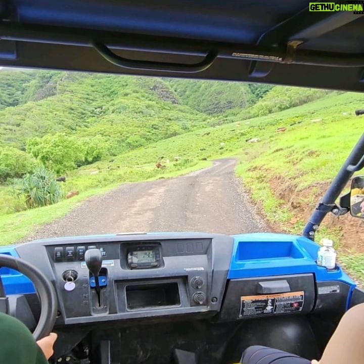 Vinessa Vidotto - 3.4K Likes - Funnest day on the island! 🦖⛰️🦕