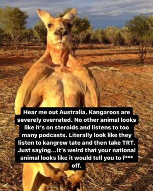 Vir Das Instagram - #australia tell me I’m wrong. They look like squirrels on steroids.