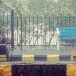 Viraat