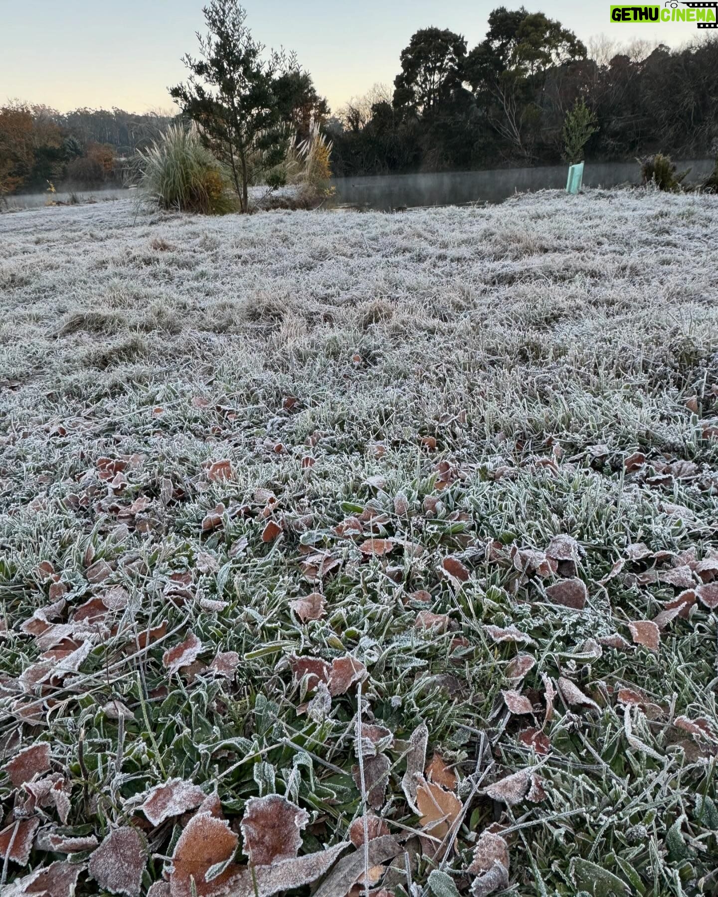 Virginia Trioli - 1.2K Likes - POV. ❄️