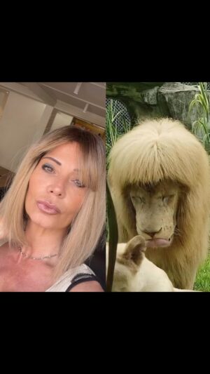 Vivian Grimigni Instagram - Étrangement, on a jamais vu ces deux personnes au même endroit
Et vous vous en pensez quoi ? 
@nathalie_andreani_lavilla2