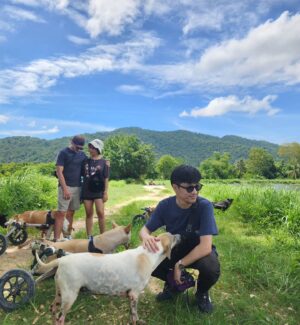 Vivid Bavornkiratikajorn Instagram - น้องหมาติดล้อ 🐶🚗🚗❤️
มาร่วมแจมเอาอาหารมาให้น้องหมาครับ 
ที่นี่มีสุนัขกว่า800 ตัว ที่ยังต้องการอาหาร 
เพื่อนๆสามารถนำอาหาร หรือปัจจัยต่างๆเพื่อช่วยน้องหมาได้ครับ ที่ @tmtrdorg 
และ เพจ FB : the man that rescues dogs 
พี่ๆเจ้าหน้าที่และน้องหมาใจดี น่ารักครับ 🐶❤️❤️

#dog #puppy #charity #happy