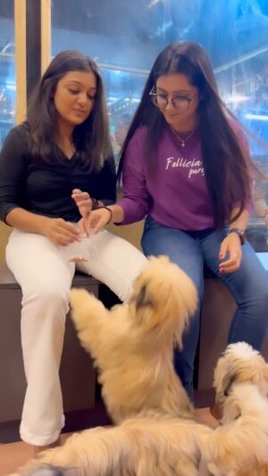Vj Dhanusek Vijayakumar Instagram - Puppies time with cutie 🥰 🐶 @varshinisureshoffl 
.
.
.
#reels #reelsinstagram #reelitfeelit #reelsindia #funreels #instagram #instavideo #instareels #instamood #funny #petlovers #puppylove #reelviral #foryou #foryoupage