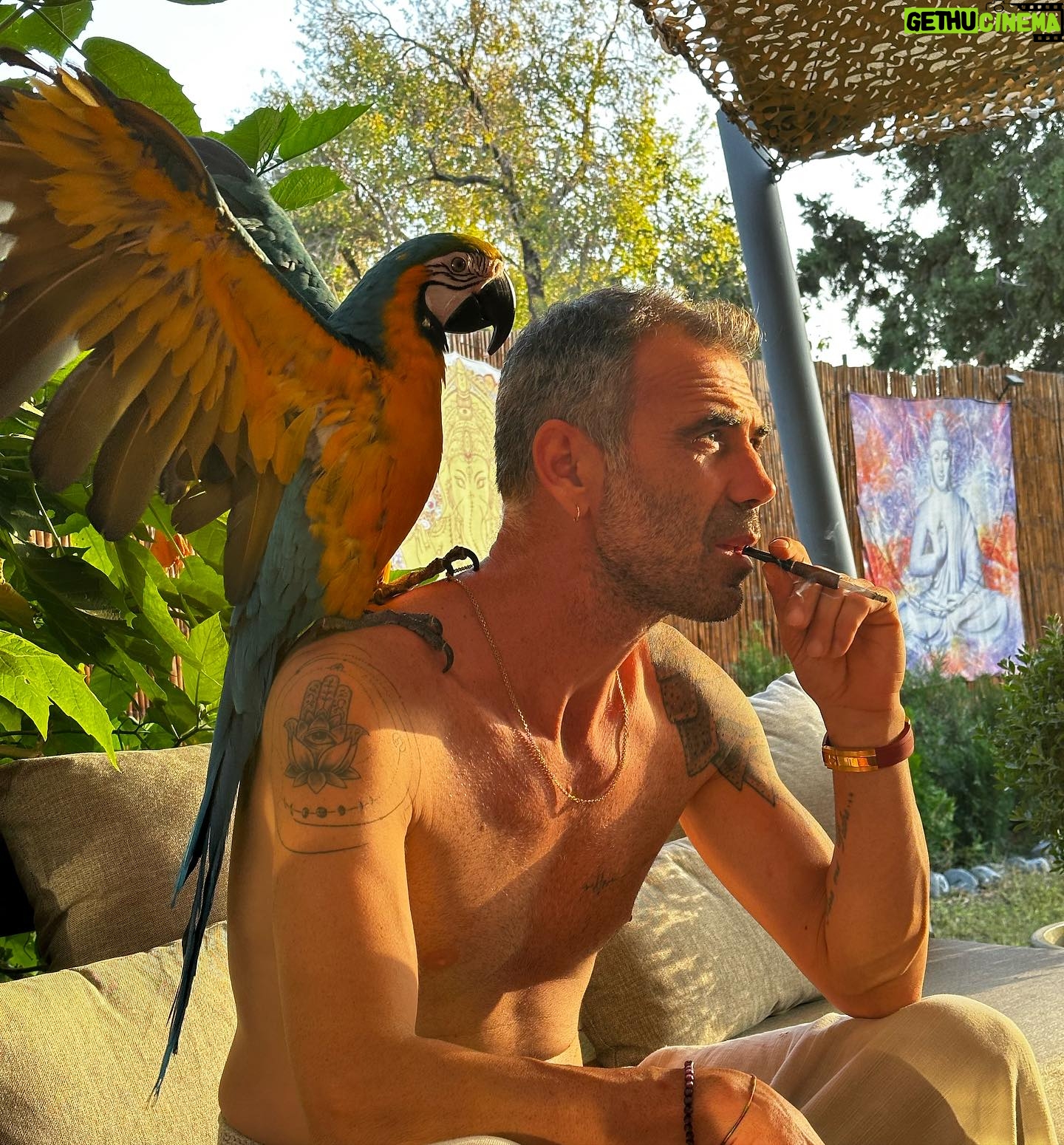 Volkan Uygun - 594 Likes - Severiz..🦜