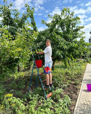 Volodymyr Ostapchuk Instagram - У вас також є родичі, які кличуть в гості тільки тоді, коли треба черешню обірвати?