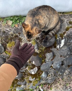 Wafda Saifan Lubis Instagram - Jā ikou ka!