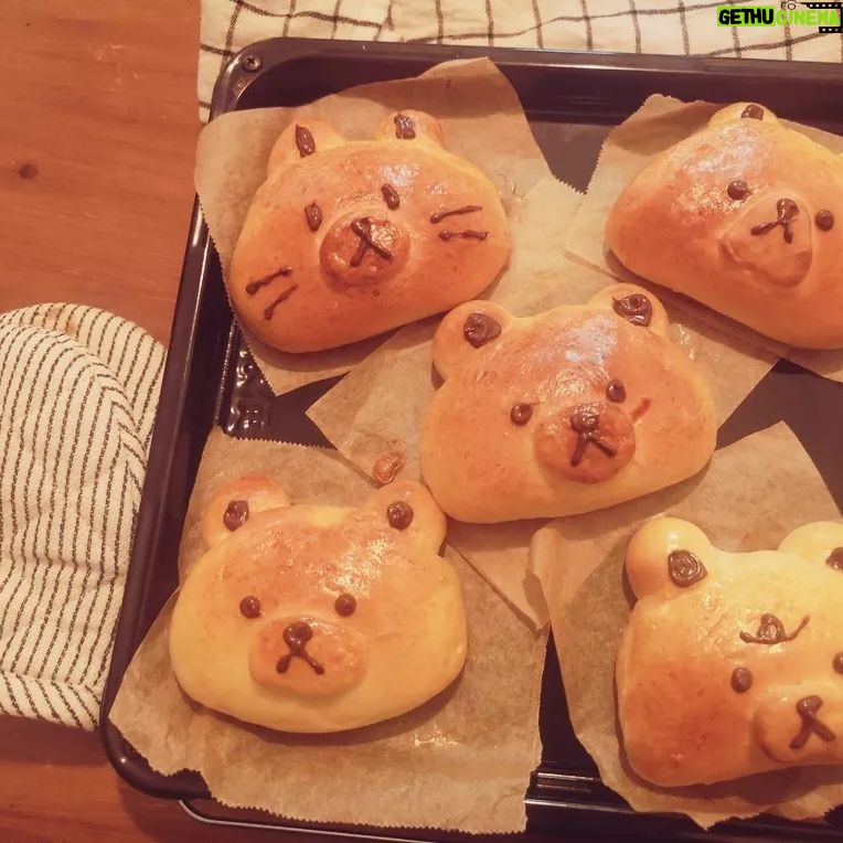Wakana - 128 Likes - この前焼いたパン🐻
#手作りパン