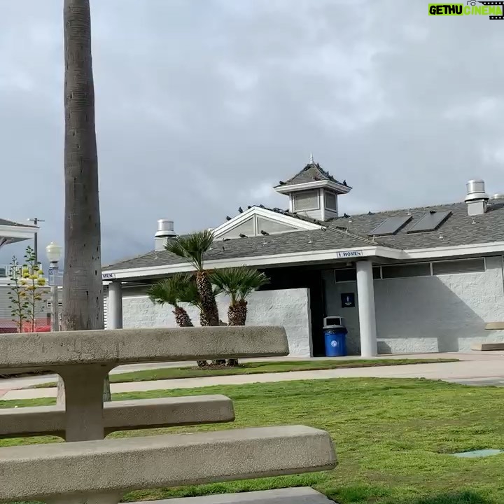 Walker Scobell - 71K Likes - Newport Beach