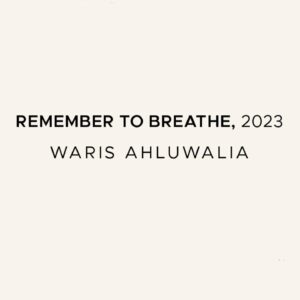 Waris Ahluwalia Instagram - “Remember to Breathe”
(As part of an ongoing larger study on breath.)
A commision by @istanbul74_ as part of their #FlagforFuture project benefitting ocean conservation 
In collaboration with @hydrabookclub and co-curated by @utopia_flags