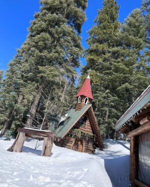 Wendy Burch Instagram - Sometimes you just need to head to the sky… as in #Skypark at Santa’s Village.  It’s old-fashioned, outdoor fun… 

The place is full of magic!

#Wendyburch #BRADYBURCH #WakeUpWithWENDY #BeingBRADY #LakeArrowhead #skyparkatsantasvillage