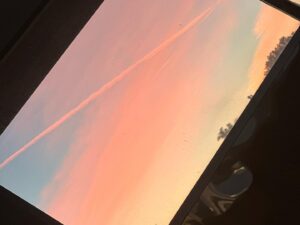 Wendy Moniz Instagram - Watercolors 🤍
#November #nofilter
