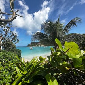 Wendy Moniz Instagram - No filter ridiculousness 🏝️