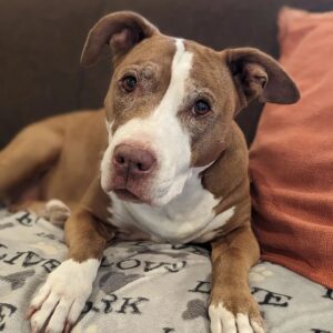 Wil Wheaton Instagram - I know it's not Monday, but what kind of monster would I be if I made you wait until then to see Marlowe being the best girl?