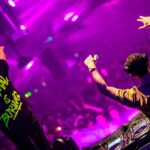 Wildstylez
