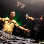 Wildstylez
