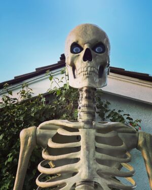 Will Yun Lee Instagram - 100 plus degree weather in the Valley and my son insists he needs Halloween to go up in September 😭😭😭 🎃🎃🎃🎃