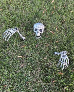 Will Yun Lee Instagram - 100 plus degree weather in the Valley and my son insists he needs Halloween to go up in September 😭😭😭 🎃🎃🎃🎃