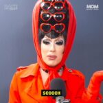 Willam Belli