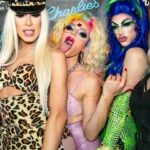 Willam Belli