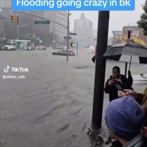 William Baldwin Instagram - Raining for a few weeks straight and now flooding in New York.
Gonna be sunny in the 80s next week.

Brooklyn got 7 1/2 inches of rain in one day.
2 1/2 inches of rain in one hour.
The most rain in Brooklyn in a single day in over 60 years.
The last time was during a HURRICANE !!!
Hurricane Donna in 1960.

They say “Only in New York“ but even for New Yorkers… this is getting a bit out of hand.