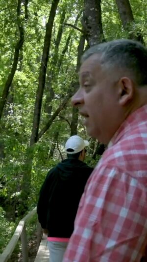 Willy Sabor Instagram - Cuidado Willy Sabor!! Hay un árbol en el camino 😂😂

Capítulo completo en nuestro canal de YouTube. Búscanos como: LA HORA DE TU PODCAST. 

Suscríbete! Es gratis. 🔔 

@willysaboroficial @joseluislolito 

#humor #risas #eslahoradetuviaje #eslahoradetupodcast #aventuras #naturaleza #paisaje #sur #surdechile