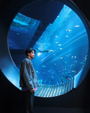 Win Morisaki Instagram - 沖縄旅いよいよ今夜完結です‼︎
水族館で歌うという貴重な経験。
是非‼︎最後まで見届けてください^ ^

Tonight the Okinawa trip is finally completed‼︎
What a wonderful experience of singing in an aquarium.
Please watch it through to the end! 

#空旅をあなたへ
@soratabi_fuji 
#かりゆし水族館
#森崎ウィン
#morisakiwin