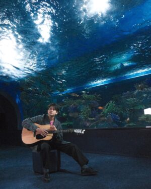 Win Morisaki Instagram - 沖縄旅いよいよ今夜完結です‼︎
水族館で歌うという貴重な経験。
是非‼︎最後まで見届けてください^ ^

Tonight the Okinawa trip is finally completed‼︎
What a wonderful experience of singing in an aquarium.
Please watch it through to the end! 

#空旅をあなたへ
@soratabi_fuji 
#かりゆし水族館
#森崎ウィン
#morisakiwin