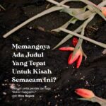 Wira Nagara