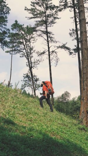 Wira Nagara Instagram - Sebab pegal nyeri bukan halangan untuk menjemput mentari. Kuatkan langkahmu untuk #TerusBergerakTerusMaju dengan @neorheumacyl