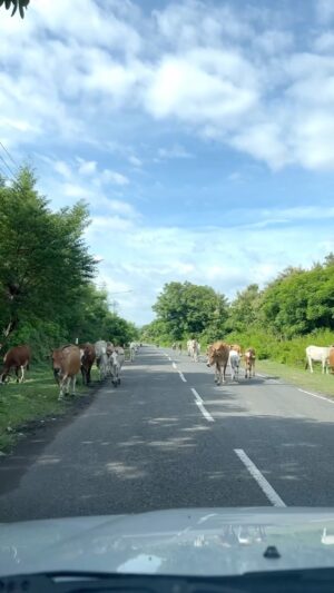 Wira Nagara Instagram - tiba-tiba di Sumbawa 😱