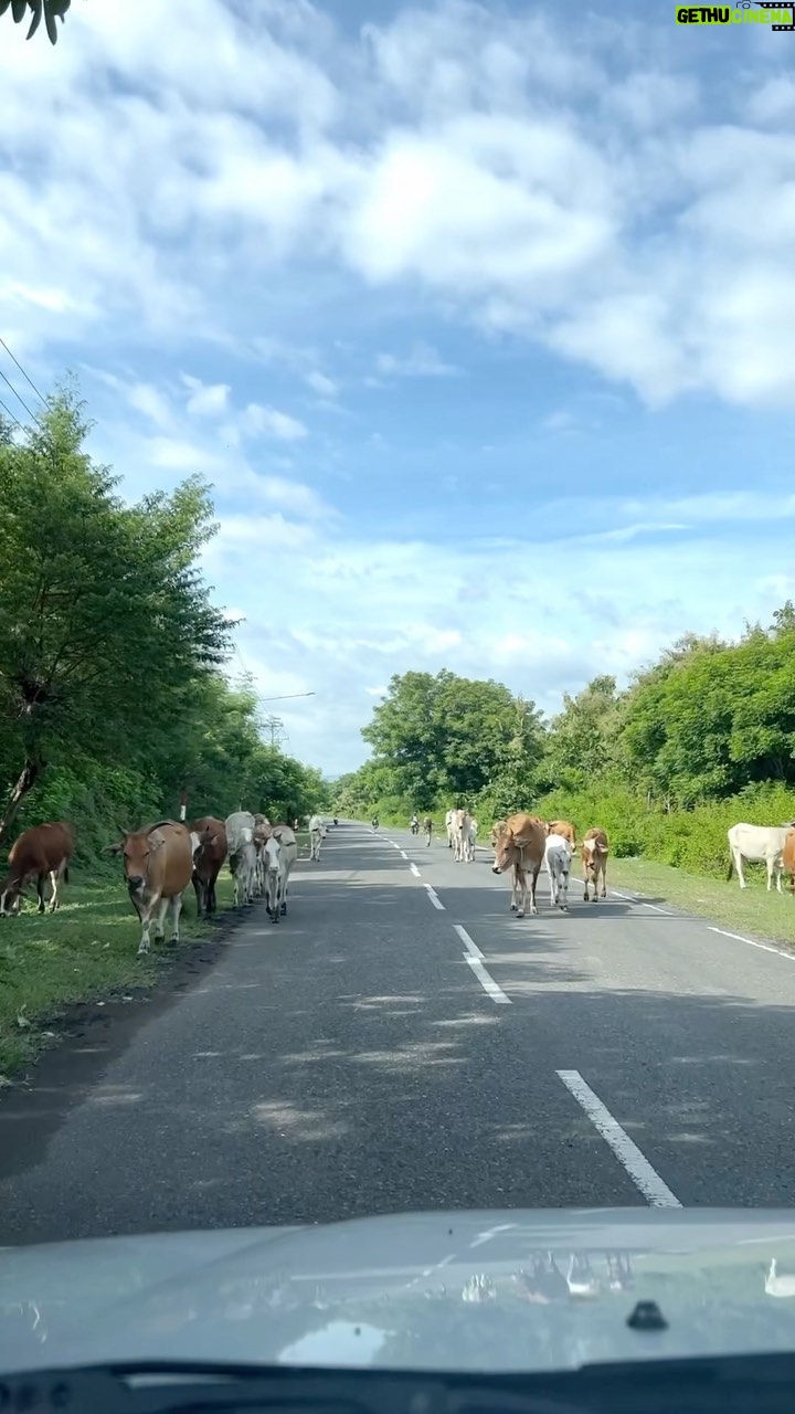 Wira Nagara - 33K Likes - tiba-tiba di Sumbawa 😱