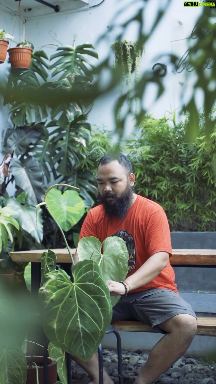 Wira Nagara - 26.2K Likes - Jadi, bagaimana ceritamu untuk tetap elastis dan bertumbuh sebagai generasi #MentalYupi?
