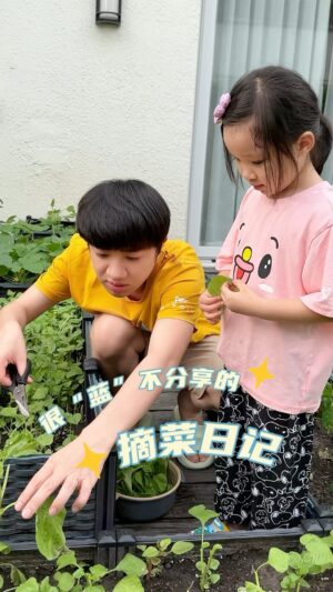 Wong Cho-lam Instagram - 沈迷於摘菜的姐妹倆