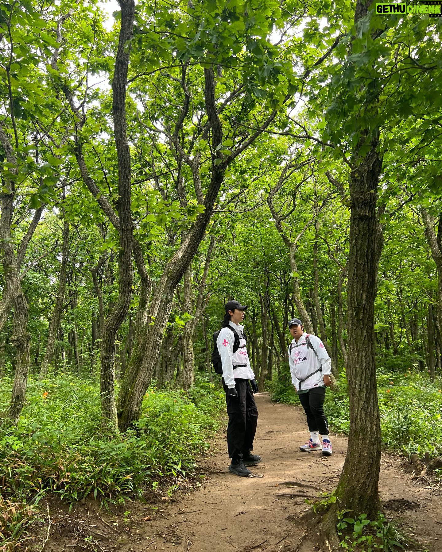 Woo Min-kyu - 13.9K Likes - 제가 좋아하는 등산을 다녀왔습니다! 선자령 등산을 했는데요
산 중턱에서 태양열로 핸드폰을 충전할수 있더라구요
너무 신기하고 좋았습니다!
등산 참 좋네요🌲🌿☘️
