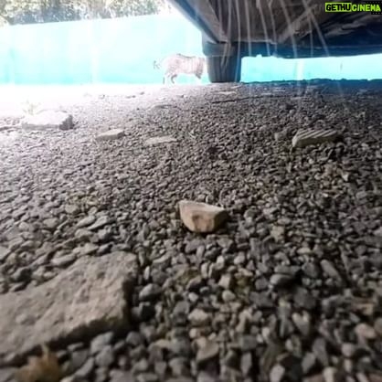 Wood Harris - 2.8K Likes - Monday vibes. It's on sight... this gotta be over some pussy. Pun intended.
I love animals in case u didn't know.
Peace. Hope y'all day is awesome.
Slim Noble 7