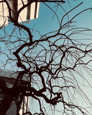 Wu Nien-hsuan Instagram - 喜歡陽光 
那程度跟喜歡披薩、漢堡一樣
超愛 💛
謝謝像陽光無私的照亮別人 
或讓別人發亮的人