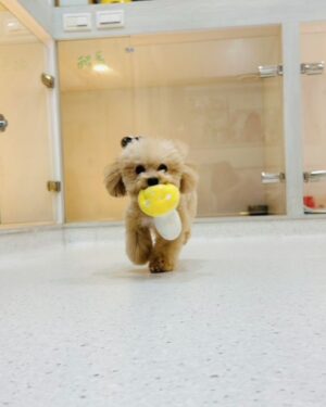 Xing Li Instagram - 12天沒發文，
因為真的累到失去能量🫠
而且滿腦子都是負面念頭，
不覺得有人想看，

話說只要一說自己最近很累，
就總是會有人主動發起累累大賽，
忙著比較他更累他才辛苦，
我永遠不懂為什麼要這麼做🤔

累死人的日子中，
一些帶來能量的片刻，
謝謝這些美好時光。