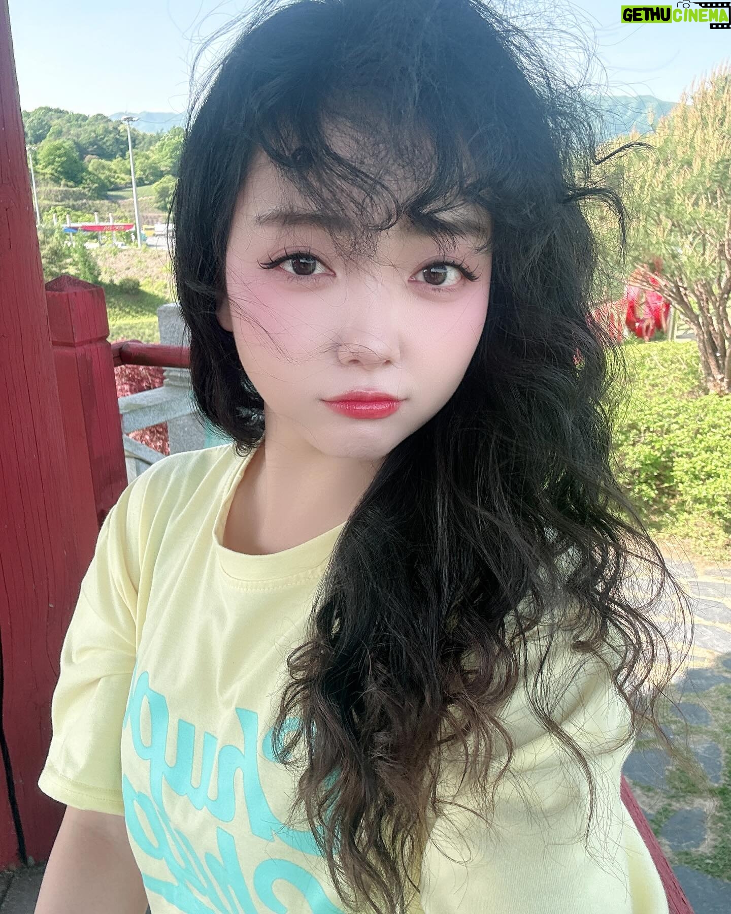 YOYOMI - 1.7K Likes - 강풍기 대신 자연풍기🤣