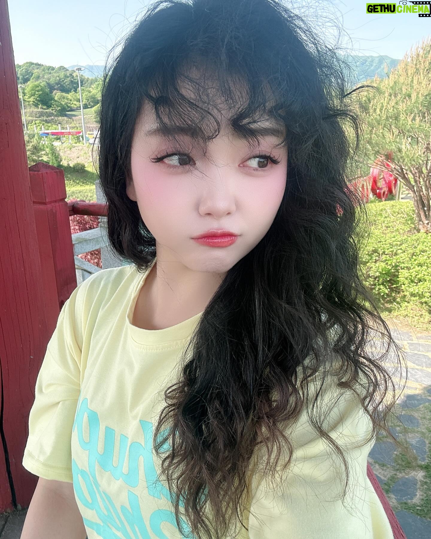 YOYOMI - 1.7K Likes - 강풍기 대신 자연풍기🤣