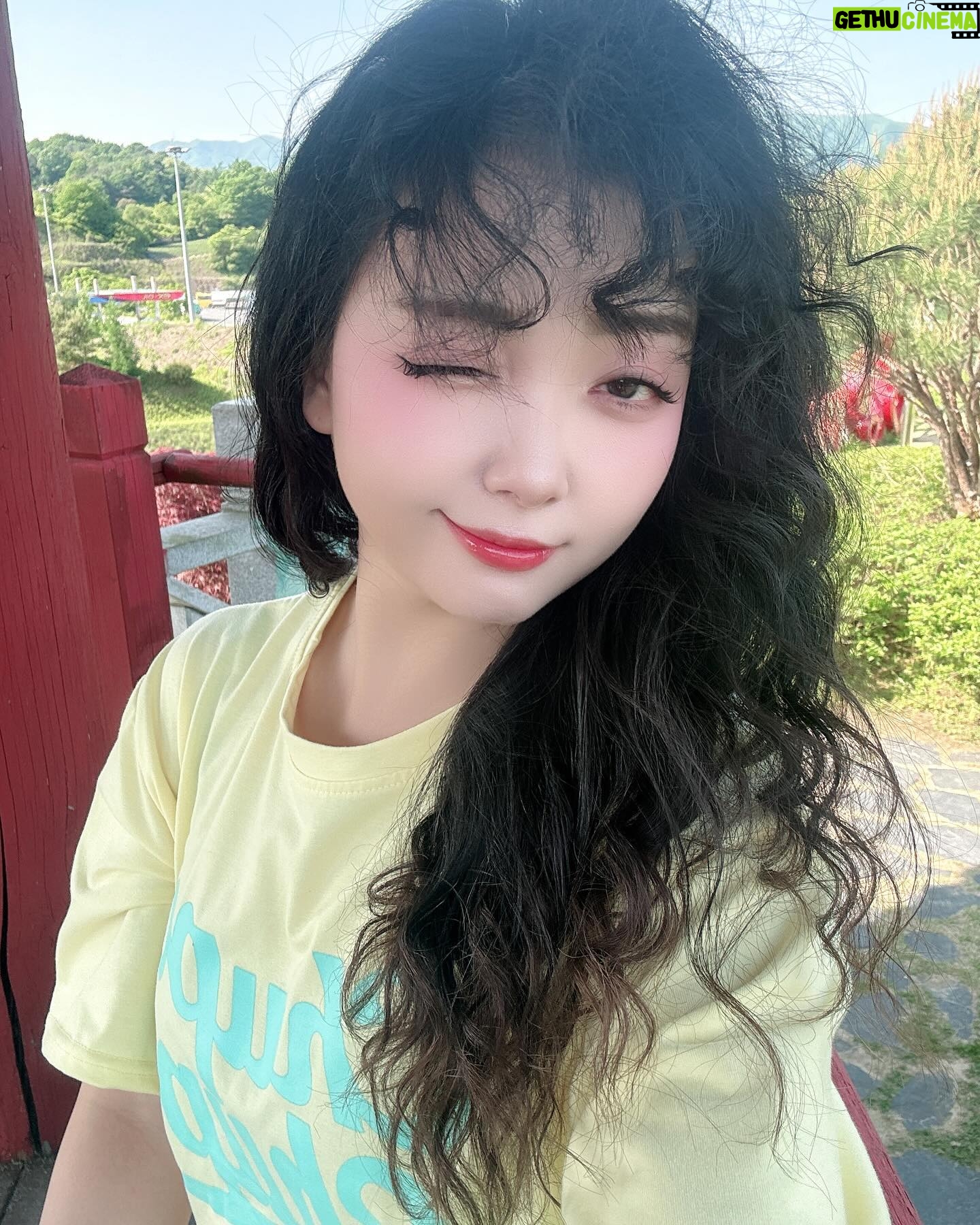 YOYOMI - 1.7K Likes - 강풍기 대신 자연풍기🤣