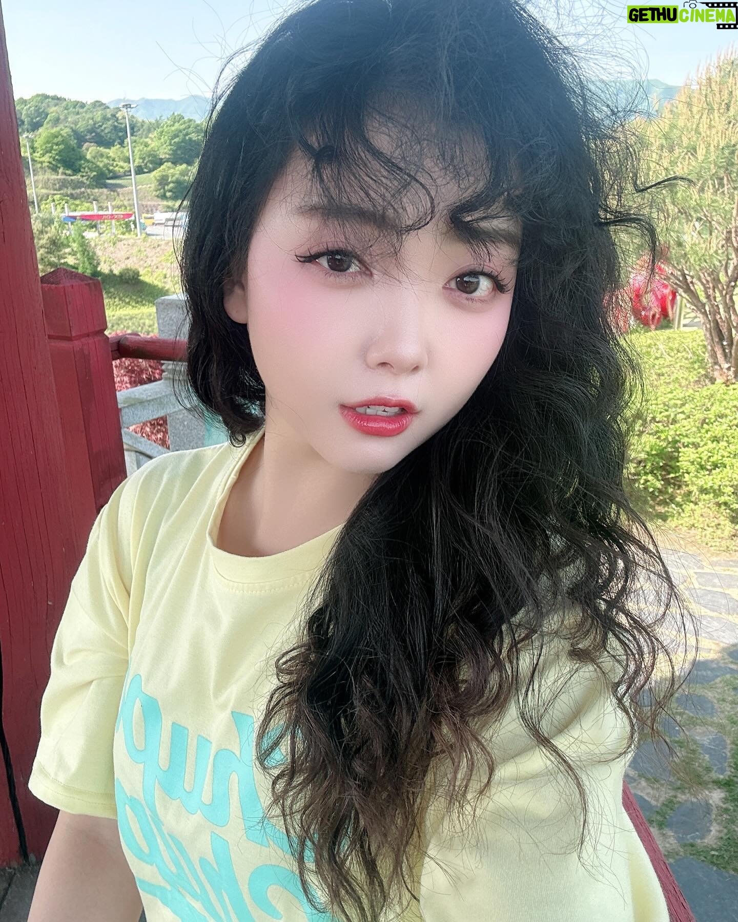 YOYOMI - 1.7K Likes - 강풍기 대신 자연풍기🤣